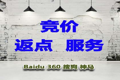 行业新秀如何通过SEM实现快速崛起
